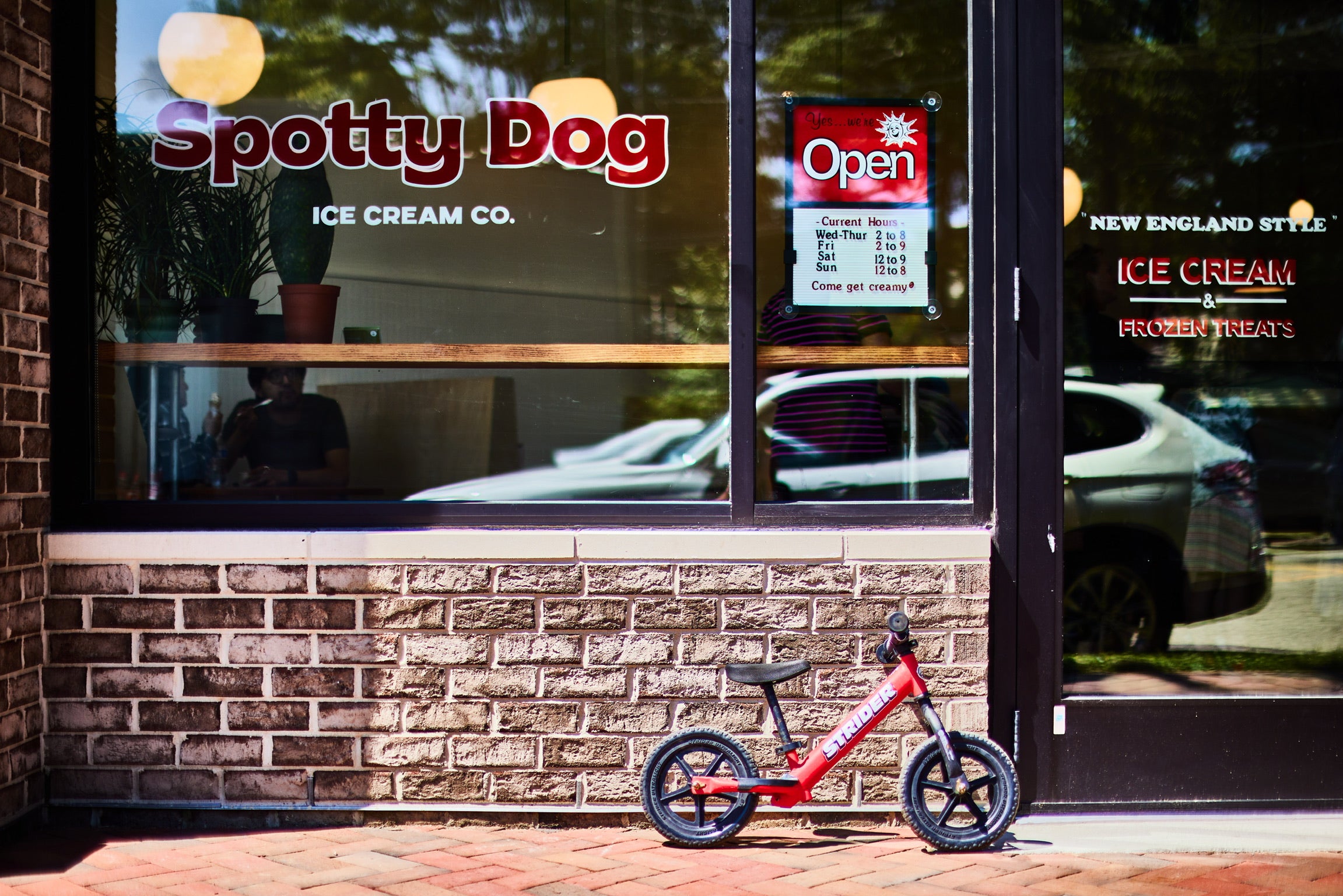 Home Spotty Dog Ice Cream Co Home Spotty Dog Ice Cream Co
